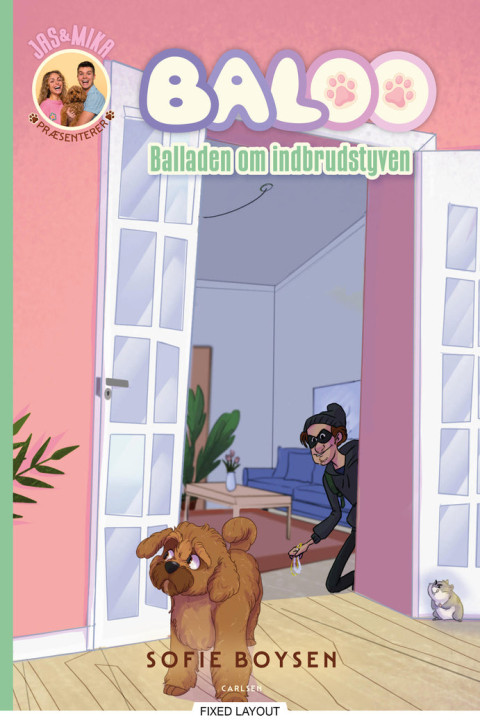 Omslag: Baloo - Balladen om indbrudstyven