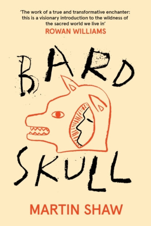 Omslag: Bardskull