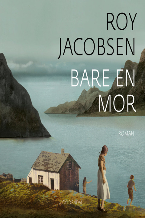 Omslag: Bare en mor