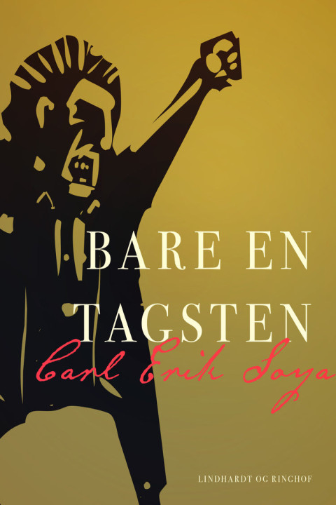 Omslag: Bare en tagsten