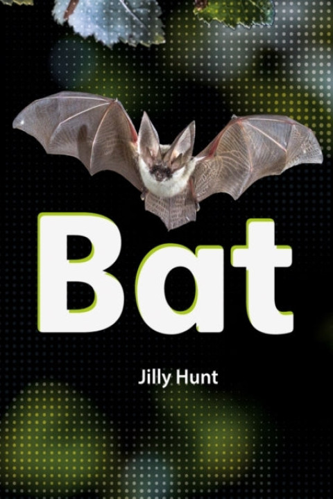 Omslag: Bat Set 02