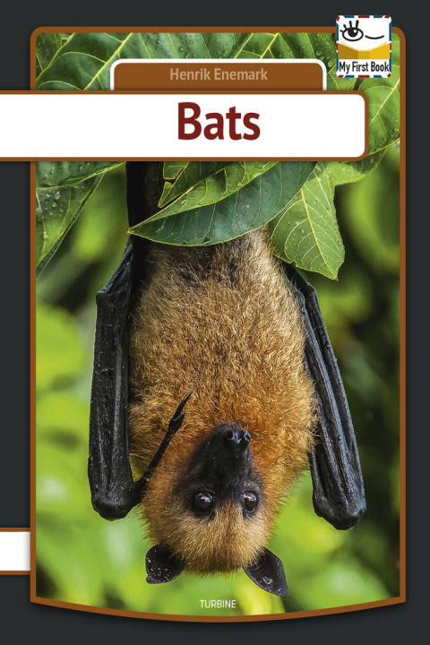 Omslag: Bats