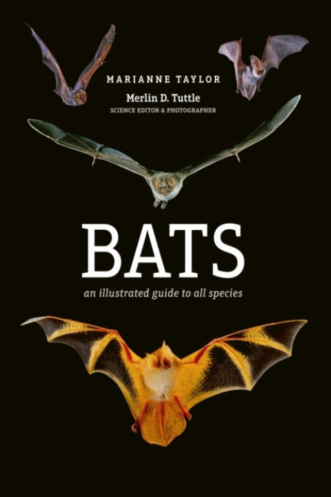 Omslag: Bats