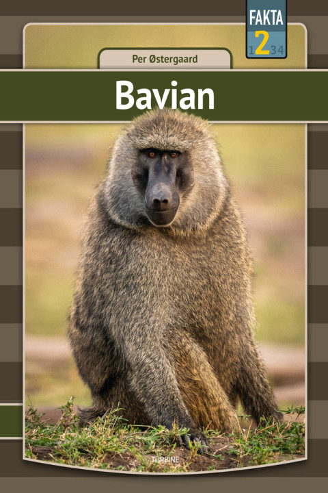 Omslag: Bavian