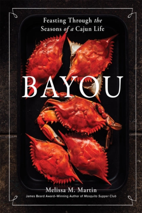 Omslag: Bayou