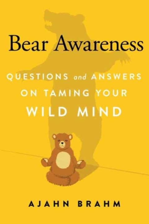 Omslag: Bear Awareness