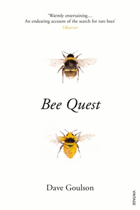Omslag: Bee Quest