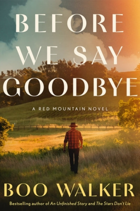 Omslag: Before We Say Goodbye