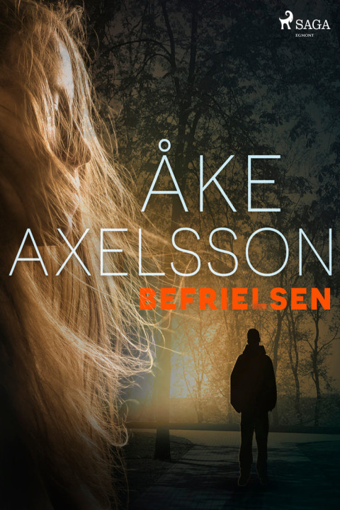 Omslag: Befrielsen