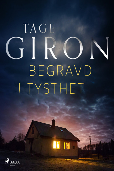 Omslag: Begravd i tysthet