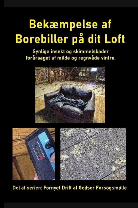 Omslag: Bekæmpelse af Borebiller på dit Loft