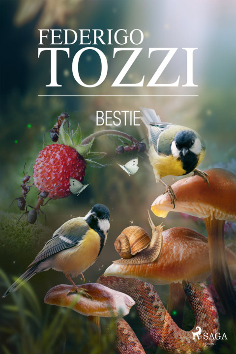 Omslag: Bestie