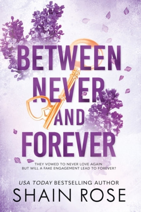 Omslag: Between Never and Forever