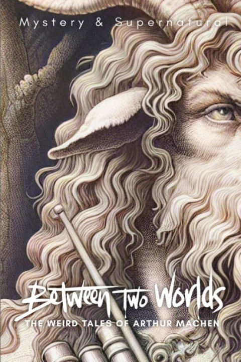 Omslag: Between Two Worlds