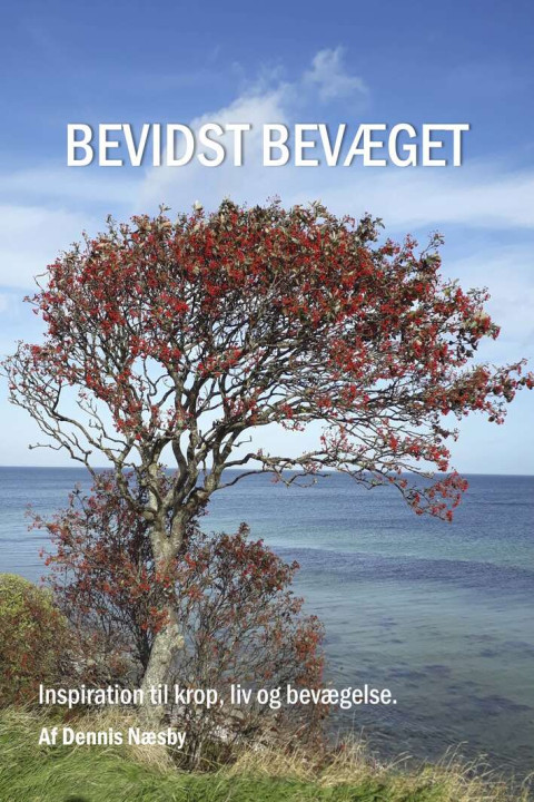 Omslag: Bevidst bevæget