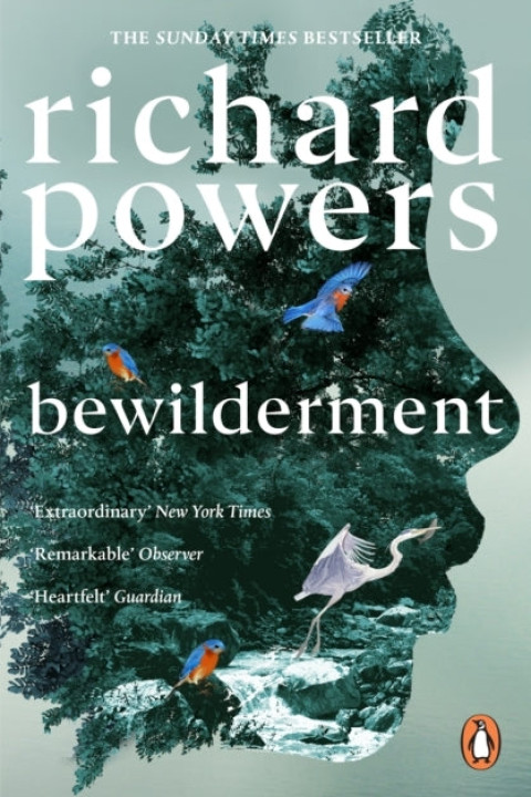 Omslag: Bewilderment