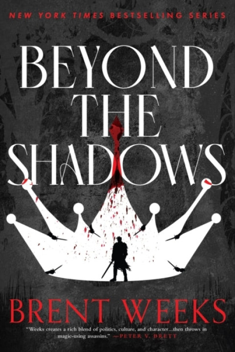Omslag: Beyond the Shadows