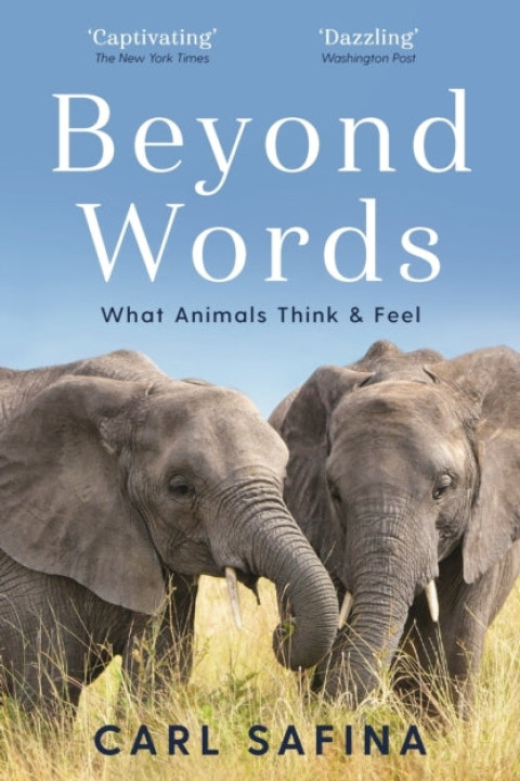 Omslag: Beyond Words