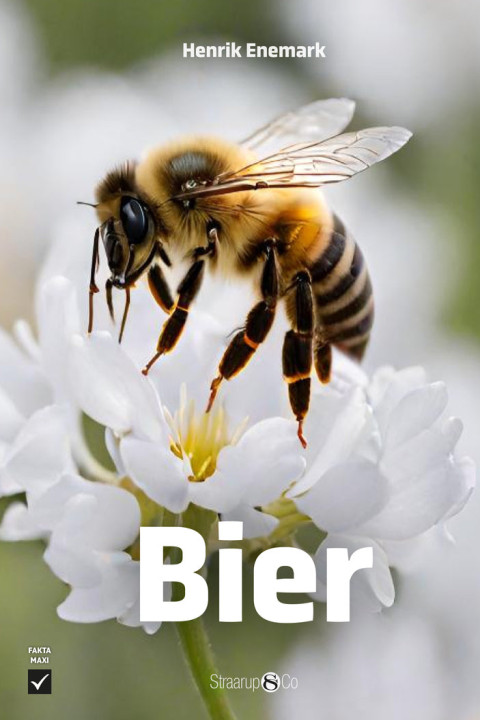 Omslag: Bier