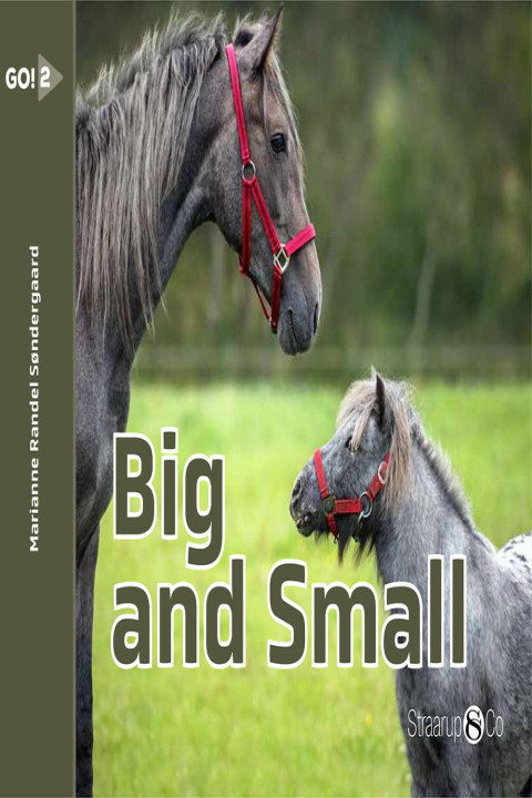 Omslag: Big and Small