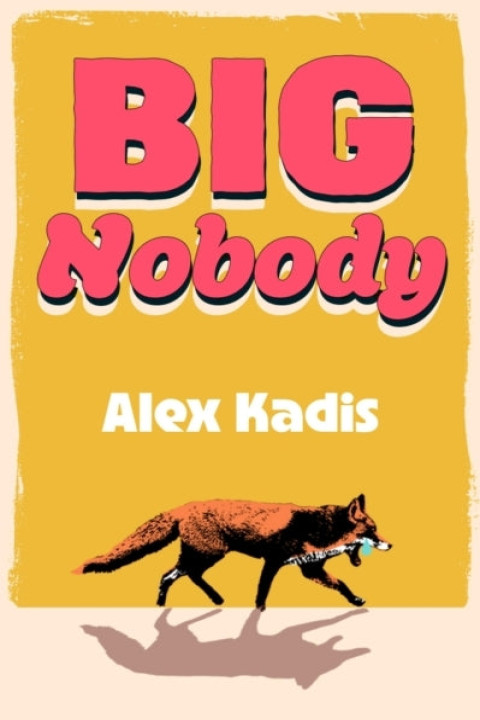 Omslag: Big Nobody