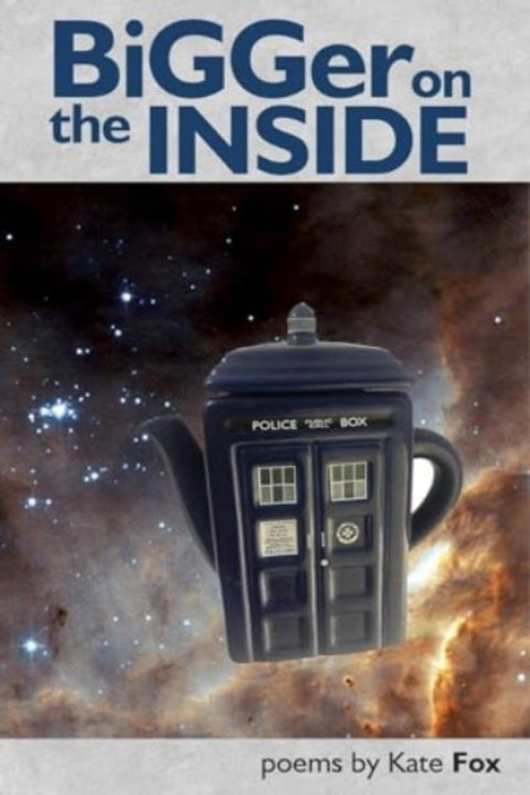 Omslag: Bigger On The Inside