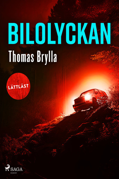 Omslag: Bilolyckan