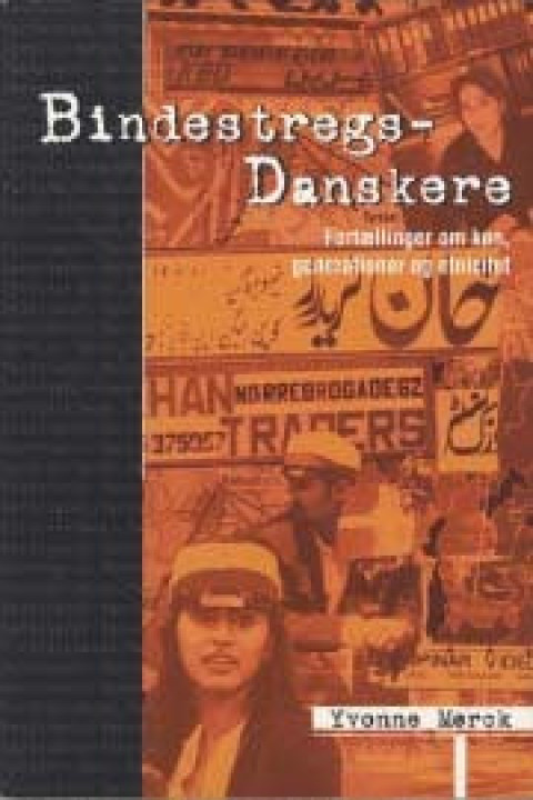 Omslag: Bindestregsdanskere