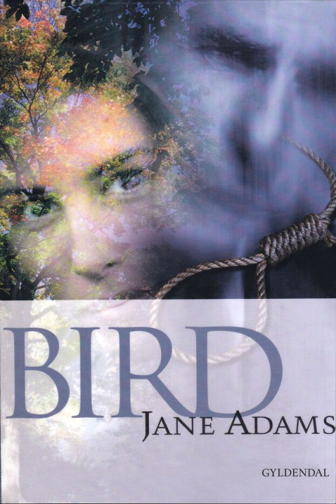 Omslag: Bird