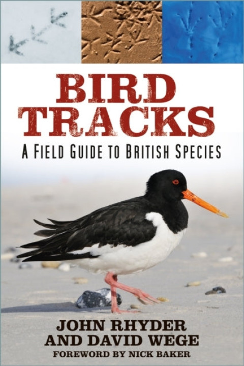 Omslag: Bird Tracks