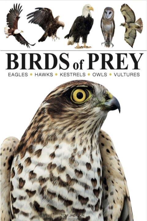 Omslag: Birds of Prey