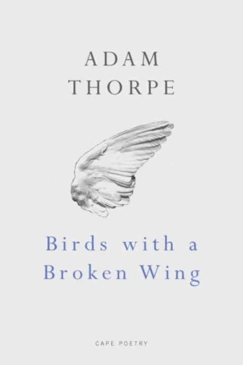 Omslag: Birds With A Broken Wing