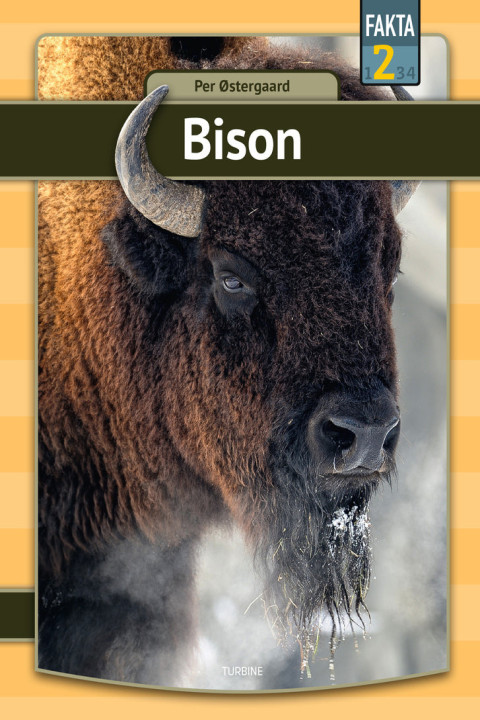 Omslag: Bison