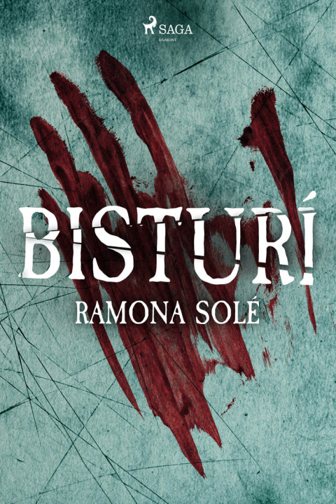 Omslag: BisturÃ