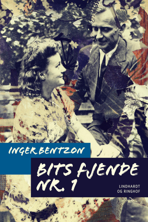 Omslag: Bits fjende nr. 1