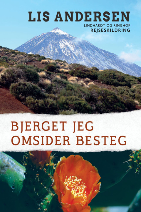 Omslag: Bjerget jeg omsider besteg