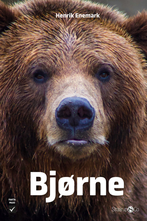 Omslag: Bjørne