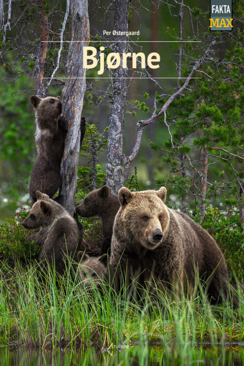 Omslag: Bjørne