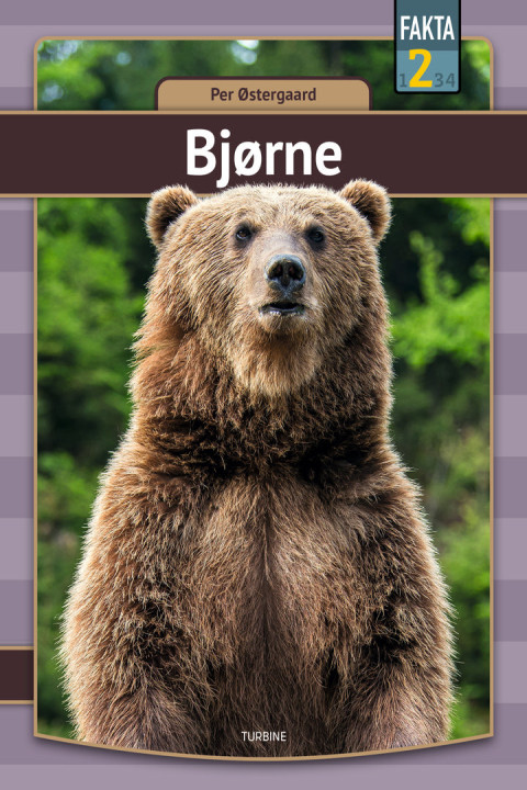 Omslag: Bjørne