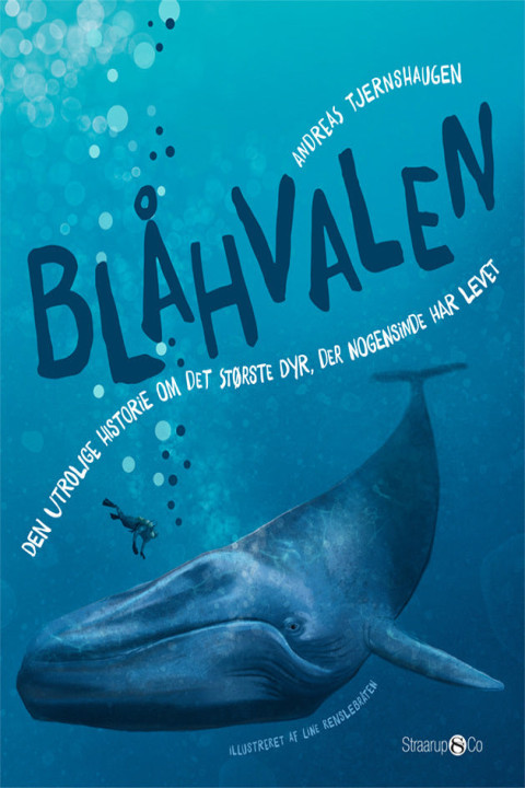 Omslag: Blåhvalen
