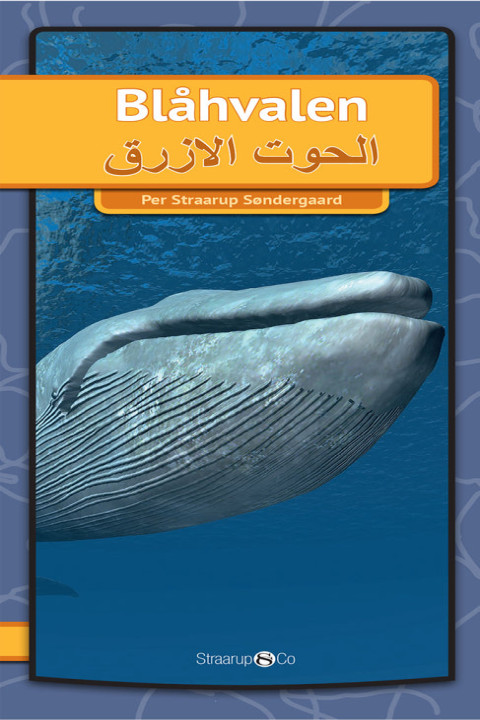Omslag: Blåhvalen (Arabisk)