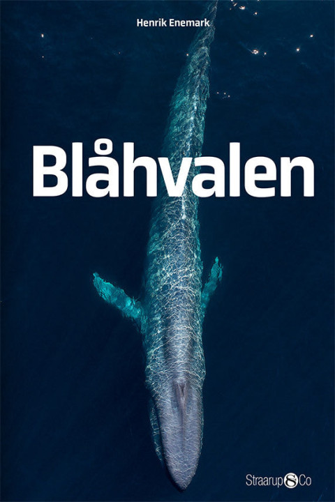 Omslag: Blåhvalen