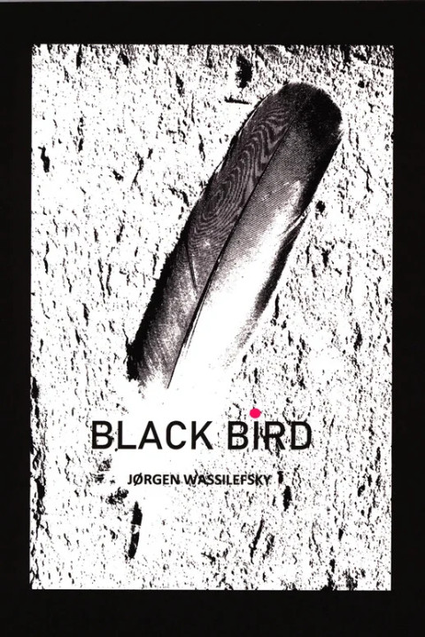 Omslag: Black Bird
