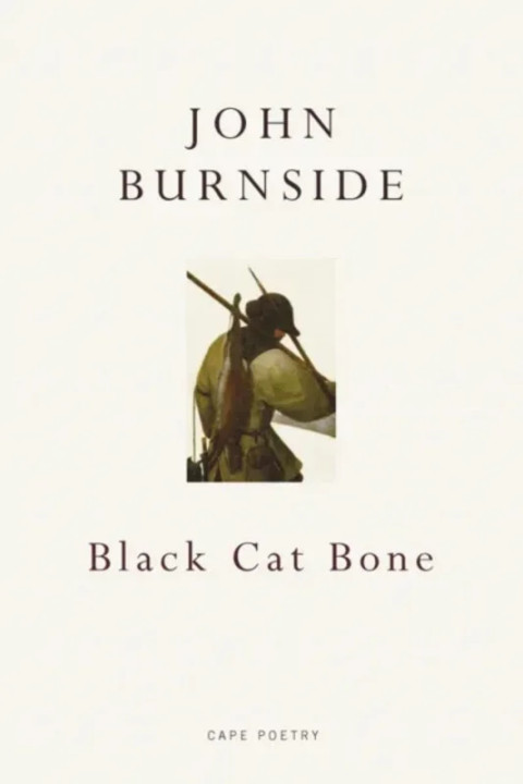 Omslag: Black Cat Bone