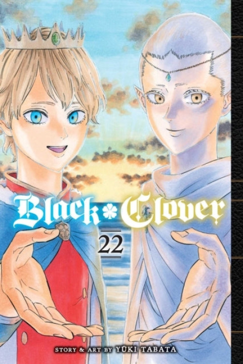 Omslag: Black Clover Vol. 22