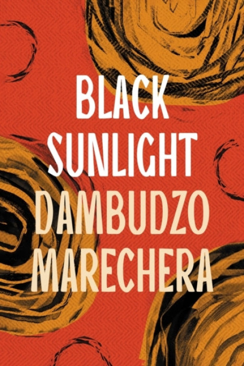 Omslag: Black Sunlight