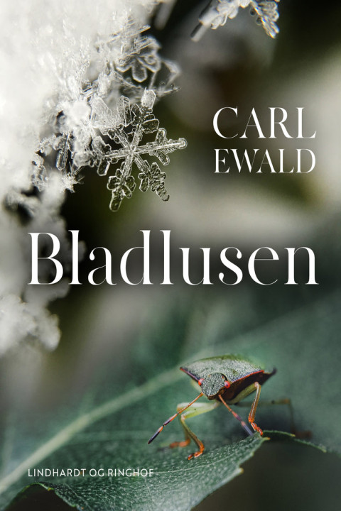 Omslag: Bladlusen