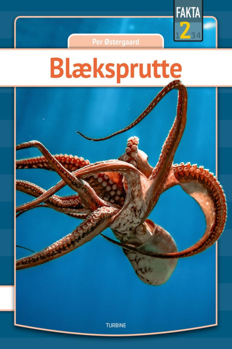 Omslag: Blæksprutte