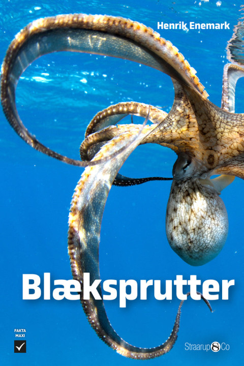 Omslag: Blæksprutter