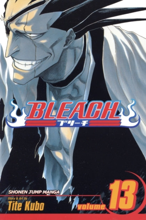 Omslag: Bleach, Vol. 13